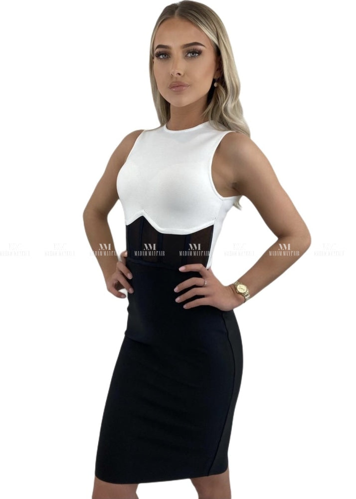 Antonia Sleeveless Monochrome Body Con Dress Dresses